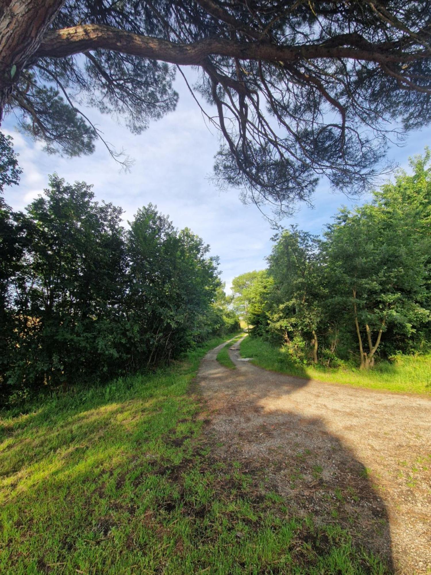 Ferme Ariegeoise, Gite Du Lac Unzent Εξωτερικό φωτογραφία